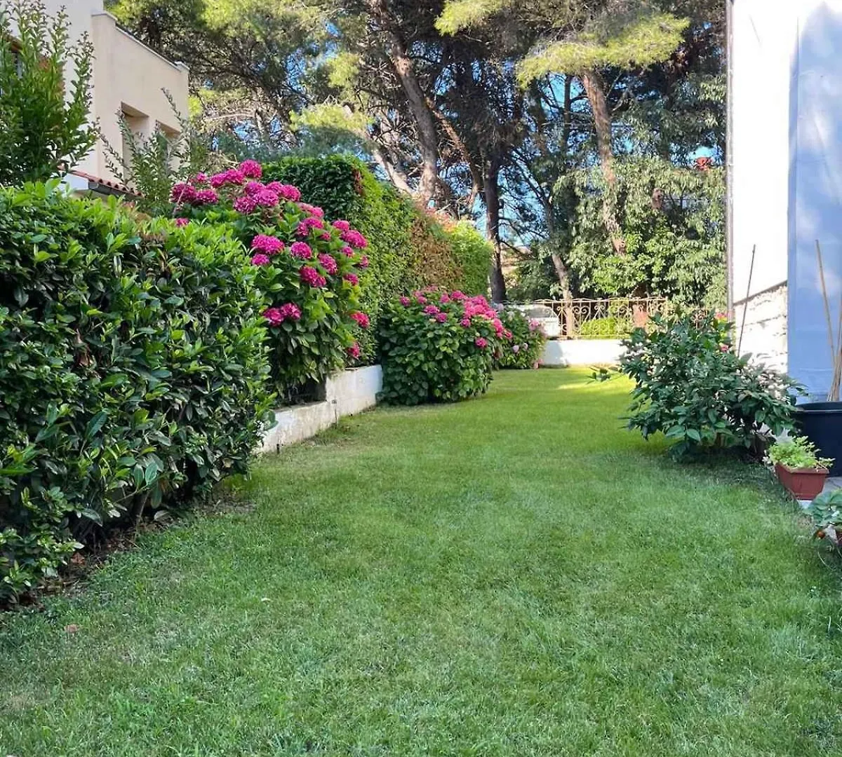 Apartment In Pula/Istrien 26834